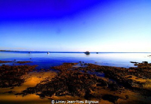 Roches Noires-NW Mauritius
Linley Jean-Yves Bignoux by Linley Jean-Yves Bignoux 